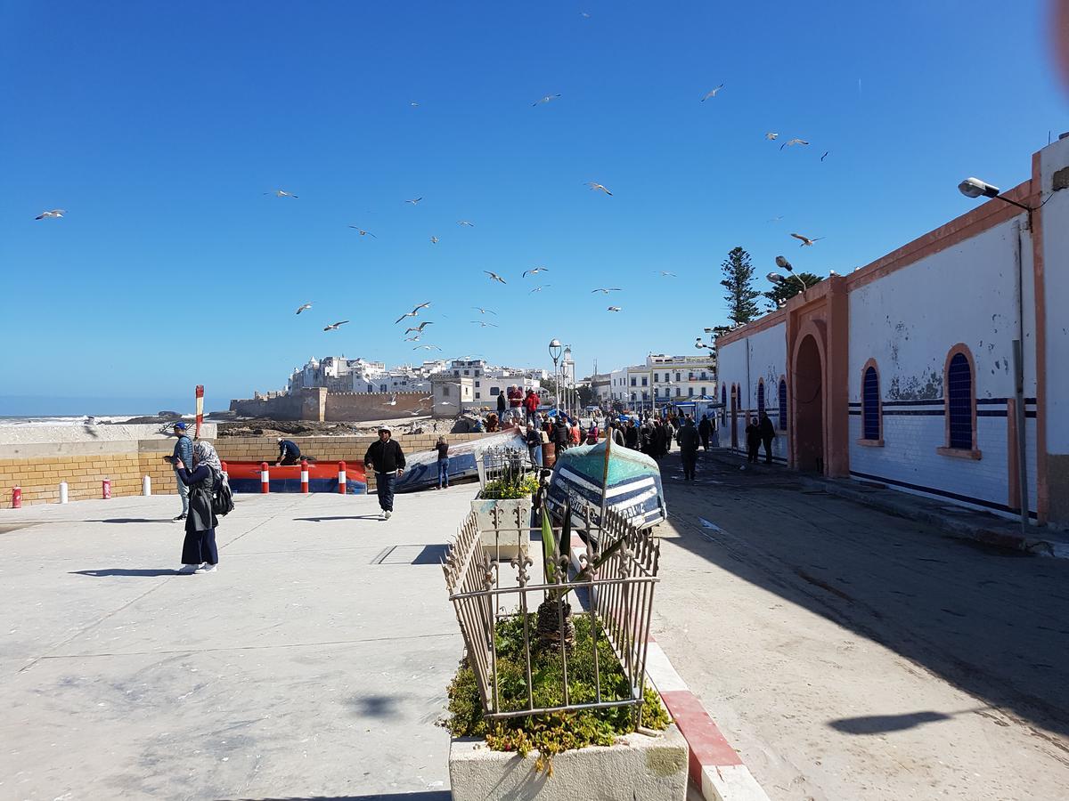 Riad Sidi Magdoul Ес-Сувейра Екстер'єр фото